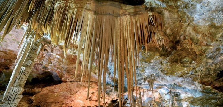 Mağaraların  jeolojik ve ekolojik özellikleri tespit çalışmaları yapılıyor