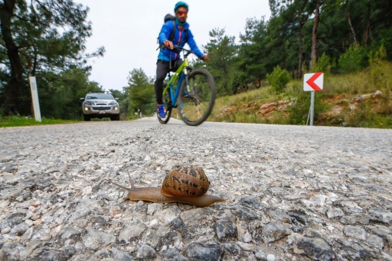 En uzun yürüyüş rotası: 800 kilometrelik Karia Yolu