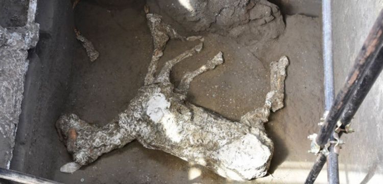 Pompeii'de askeri at kalıntısı ve insan iskeleti bulundu
