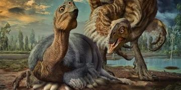 Dinozorların nasıl kuluçkaya yattığı anlaşıldı