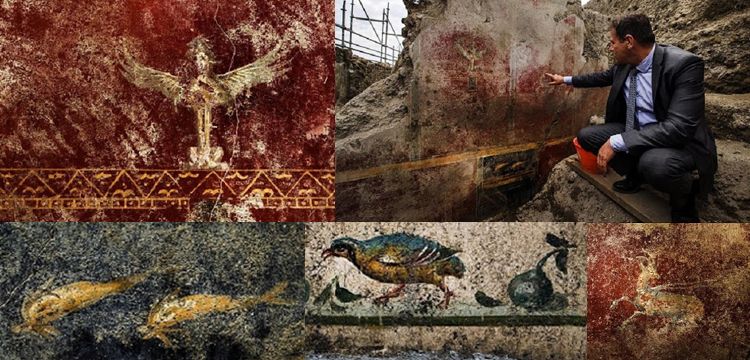 Pompeii'de yeni duvar freskleri ve koşumlu atlar keşfedildi