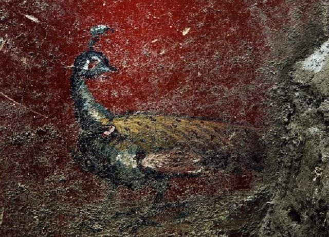 Pompeii'de bulunan yeni duvar freskleri