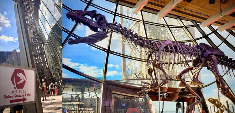 150 milyon yıllık dinozor fosili iki milyon euroya satıldı