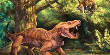 Rusyada en az 252 milyon yaşında 2 yırtıcı hayvan fosili bulundu