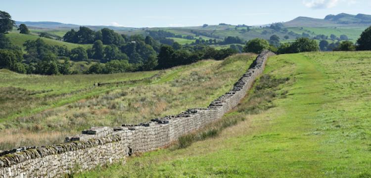 Hadrian Duvarı arkeoloji kazılarında 2 bin yıllık tahtakurusu kalıntıları bulundu