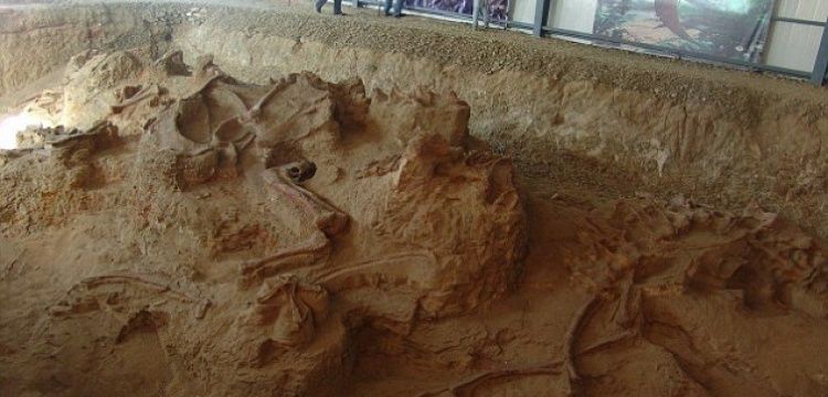 Çin'de fosili bulunan dinozor türüne muhteşem ejderha adı verildi