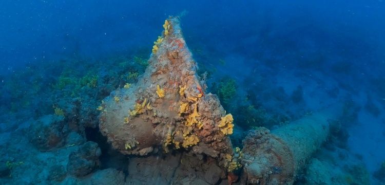 Osmanlının Koyun Adaları Deniz Zaferinin İzleri Gün Yüzüne Çıkarıldı