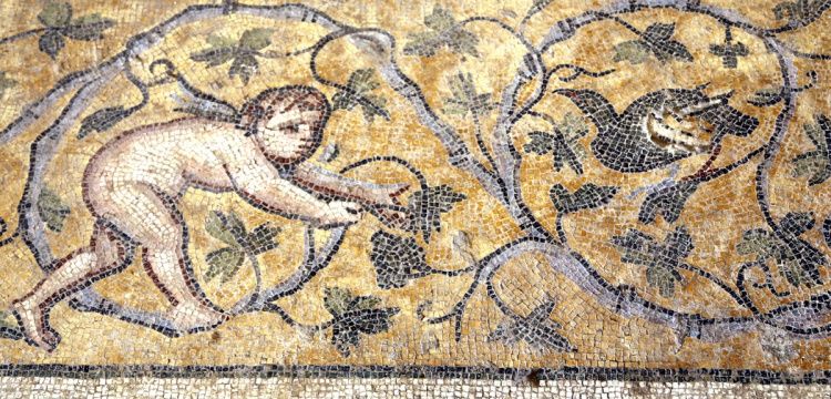 Germanicia mozaiklerinin 138 metrekaresi ziyarete açıldı