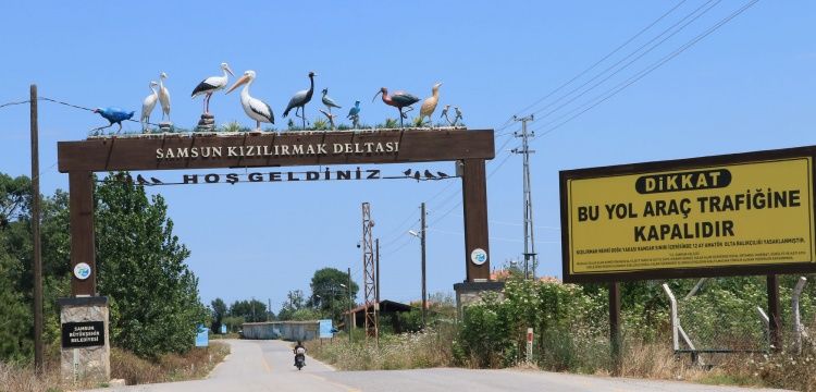 Kızılırmak Kuş Cenneti 356 Tür Kuşa ve Değişik Hayvanlara Ev Sahipliği Yapıyor