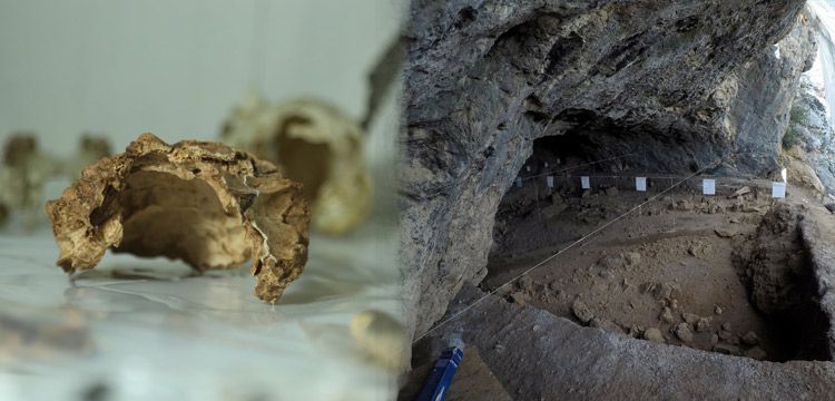Maraş'ta 14 bin yıllık kült kalıntısı ayı ve sansar kafatası bulundu