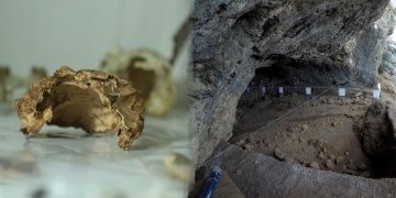 Maraşta 14 bin yıllık kült kalıntısı ayı ve sansar kafatası bulundu