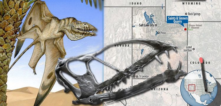 Utah'ta vampir dişli uçan dinozor fosili bulundu