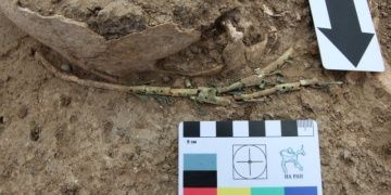 Kırımdaki arkeoloji kazılarında Arp ve Lir kalıntılarına rastlandı