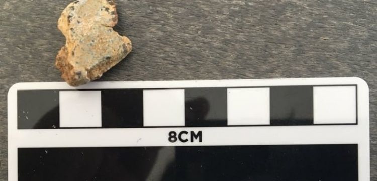 Kanada’da memeli kemikleri arasında şaşırtıcı bir fosil bulundu