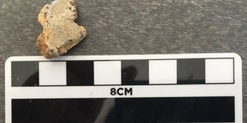 Kanadada memeli kemikleri arasında şaşırtıcı bir fosil bulundu