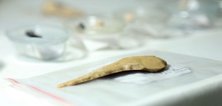 Direkli Mağarasındaki arkeolojik keşifler arkeologları şaşırtıyor