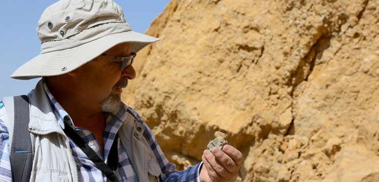 Bayburtlu köylülerin çıra diye yaktığı kehribar alanında fosiller bulundu
