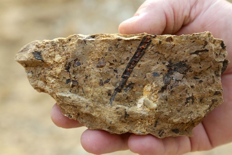 Bayburt'daki doğal kehribar alanında fosiller bulundu