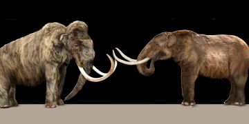 Mamut ile Mastodon arasındaki fark nedir?