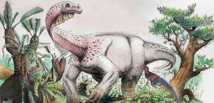South Africa's new Dinosaur crouched like a cat: Ledumahadi mafube