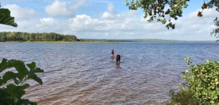 8 yaşındaki İsveçli kız çocuğu yüzdüğü gölde tarihi kılıç buldu