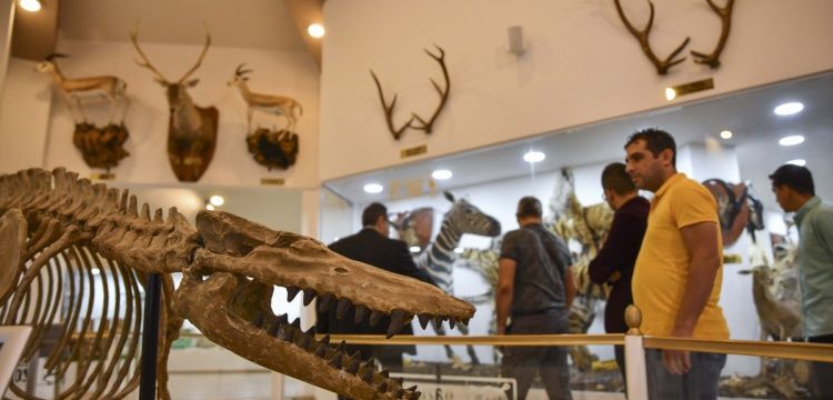 Müzede ders projesi Gaziantep Zooloji ve Doğa Müzesini şenlendirdi