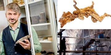 Mummies buried in salt for centuries