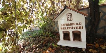Kediler için Safranbolu evleri yapıldı