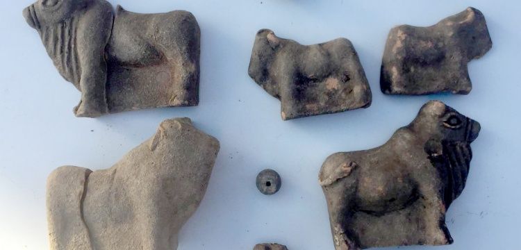 Sivas'ta Hitit eseri olduğu sanılan 15 parça eser yakalandı