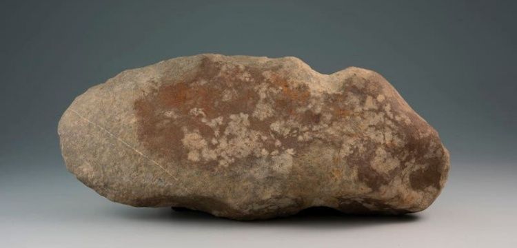 Amerika'da 6.000 yıllık taş oduncu baltası bulundu
