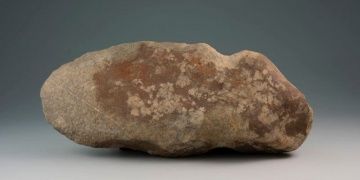 Amerikada 6.000 yıllık taş oduncu baltası bulundu