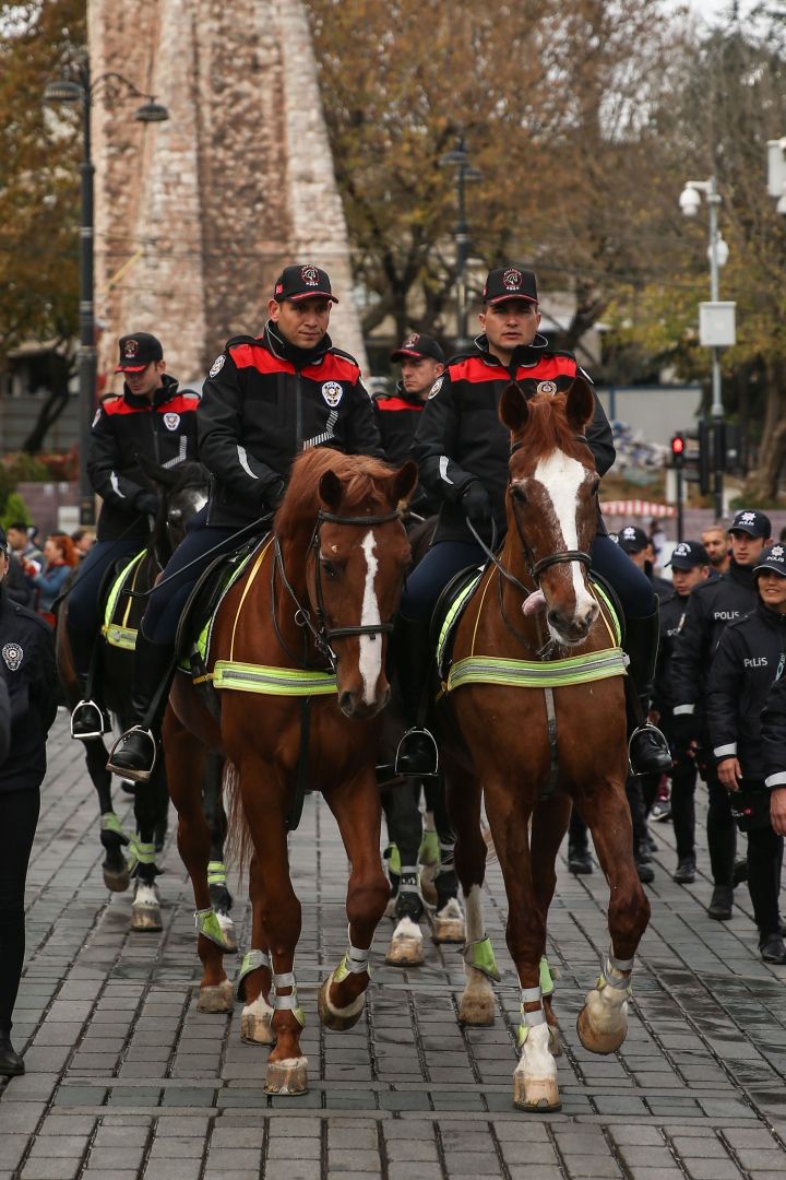 Sultanahmet meydanında atlı polisler göreve başladı