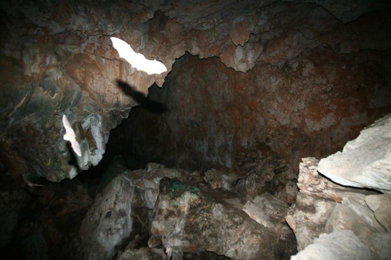 Kadıini Mağarası binlerce yıllık Mağara Mezarlık çıktı