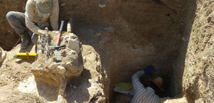İranlı arkeologlar Sasani dönemi yapı sütunları keşfettiler