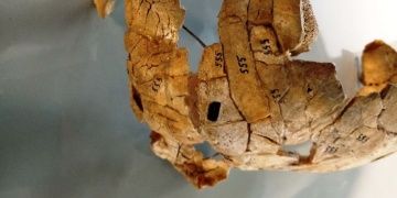 Yamyamlığa yorumlanan kafatası 8 bin yıllık cinayet kanıtı çıktı