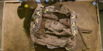 Arkeologlar Çinde bir mezarlıkta 2500 yıllık çekçek buldular