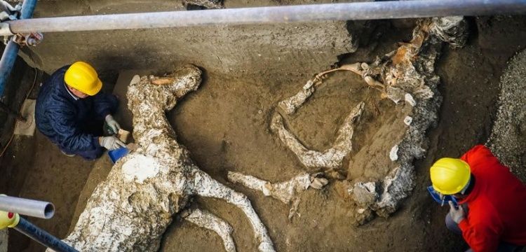 Pompeii'de taşlaşmış halde koşumlu at kalıntıları bulundu
