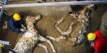 Pompeiide taşlaşmış halde koşumlu at kalıntıları bulundu