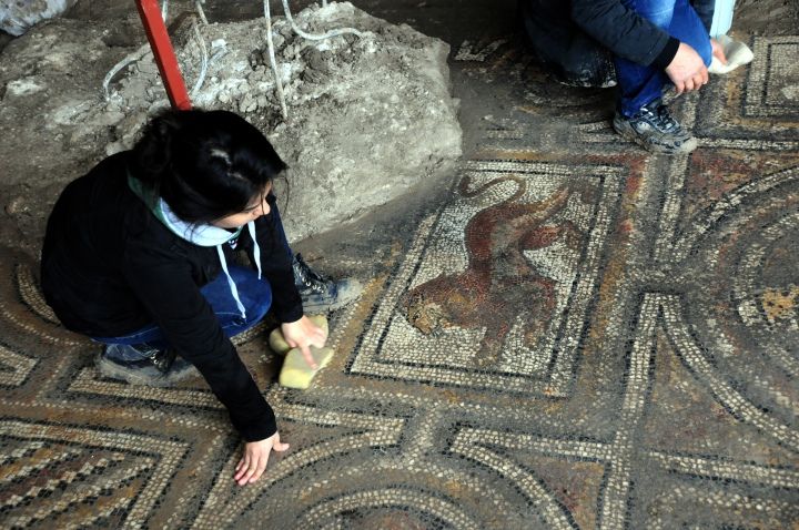 Osmaniye'de bulunan 2 bin yıllık turplu mozaik yerinde sergilenecek