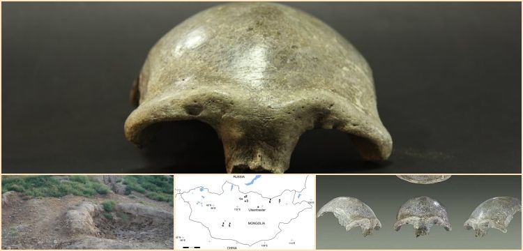 Mongolanthropus kafatası bilmecesinde önemli ipuçlarına ulaşıldı