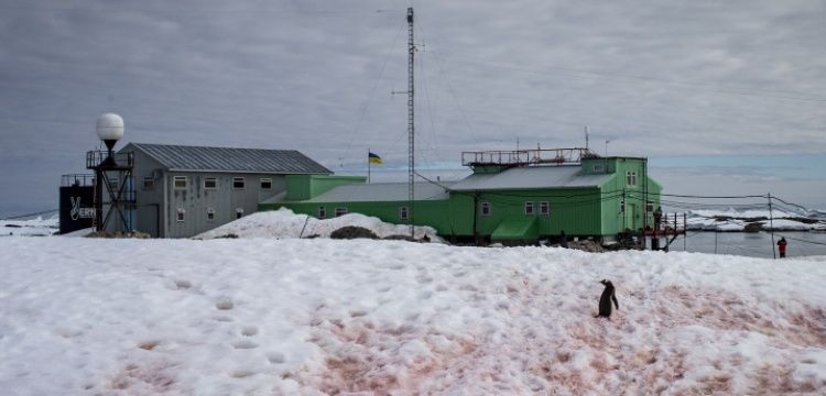 Antarktika'da Türkiye geçici bilim üssünün kurulumu tamamlandı