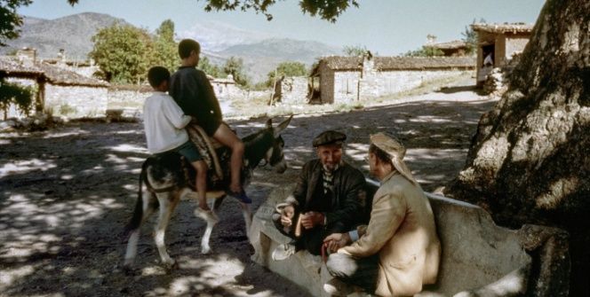 Ara Güler Müzesinin ikinci sergisi: Aphrodisias