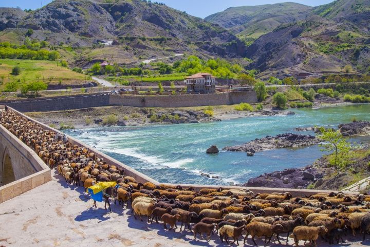 Palu'nun yaşı bilinmeyen 10 gözlü tarihi köprüsü