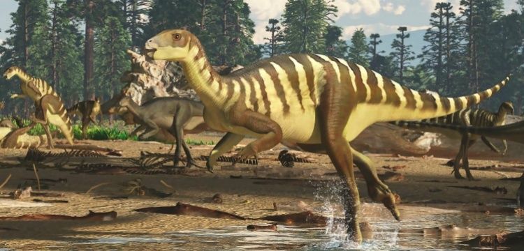Avustralya'da yeni keşfedilen dinozora Galleonosaurus dorisae adı verildi