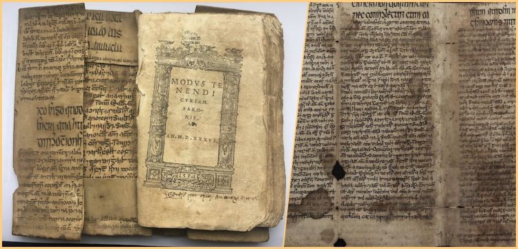 İbni Sina’nın Tıbbın Kanunu kitabının İrlandaca el yazması bulundu
