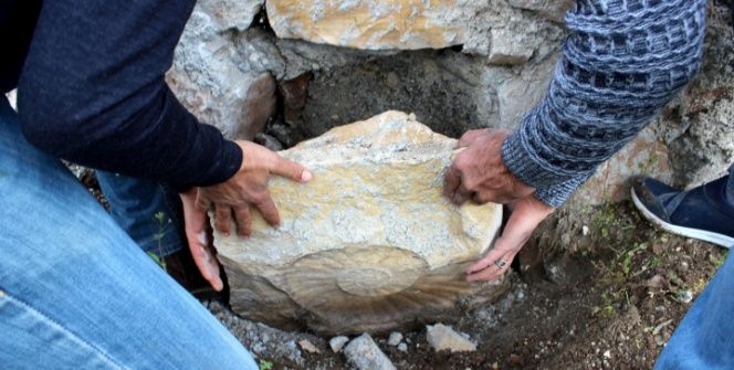 Adıyamanda 65 milyon yıllık dev salyangoz fosili duvardan böyle söküldü