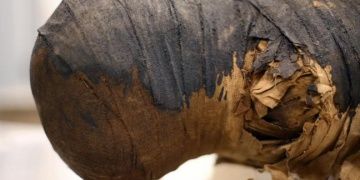 Minufiyede 5 bin yıllık bir lahitte 2 mumya bulundu