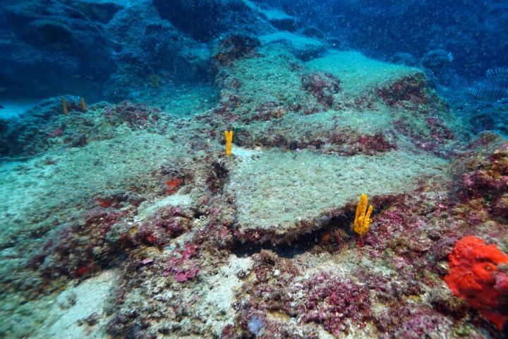 Antalya'da keşfedilen dünya en eski batık gemisi