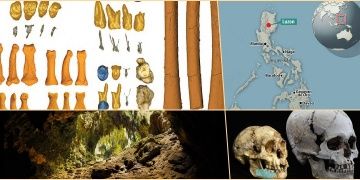 Filipinlerdeki Ciallao mağarası fosillerinden yeni bir insansı tür keşfedildi