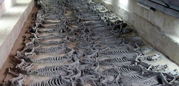 Çin'deki 2400 yıllık At ve Savaş Arabası mezarlığında kazılar sürüyor